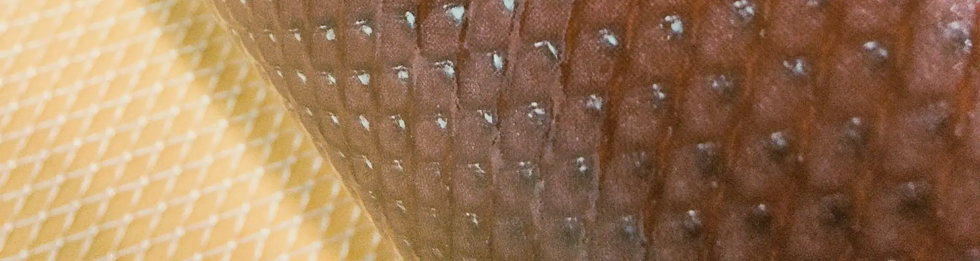 Electrodialysis membrane fouling