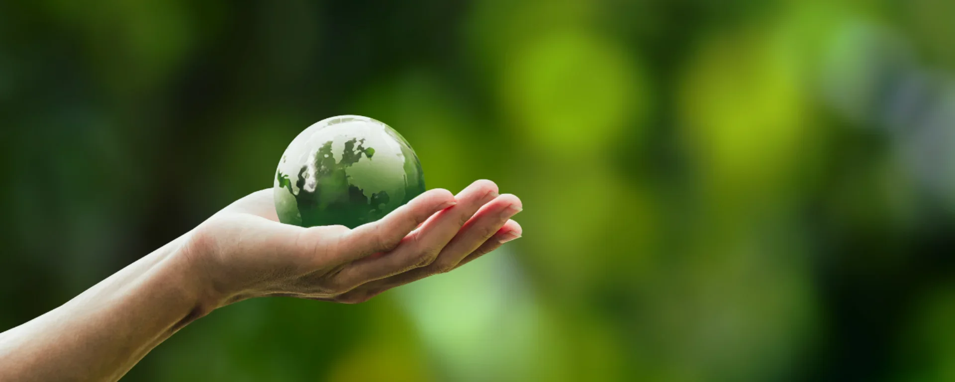 Cirkulární ekonomika