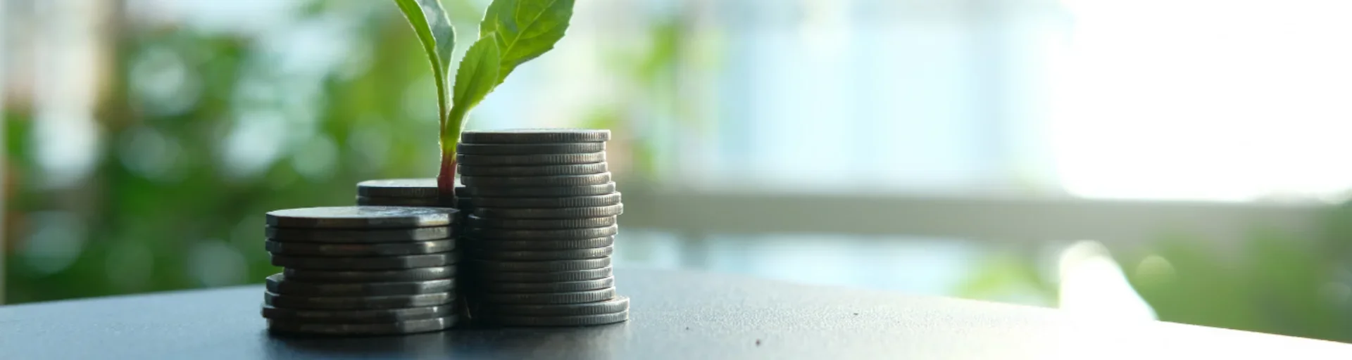 Cirkulární ekonomika