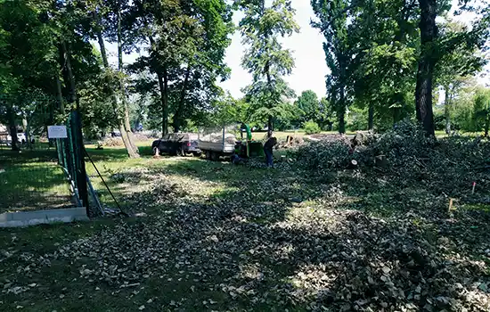 Revitalizace Špičákova zahrada - Customer needs