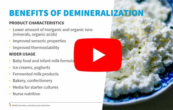Demineralization in Dairy Industry by Electrodialysis