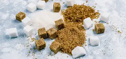 Ecological and cost effective applications for sugar industry