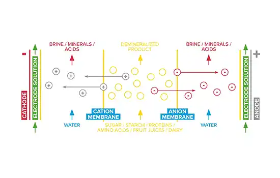 Process description for starch-based syrup purification using ED