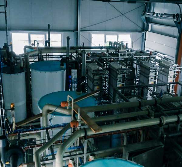 Sugar molasses purification