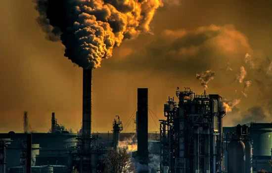 Carbon capture from flue gas