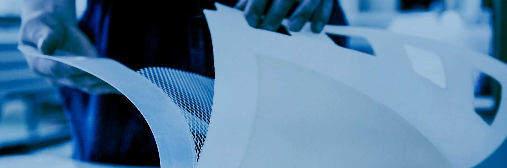 RALEX® electro separation membranes