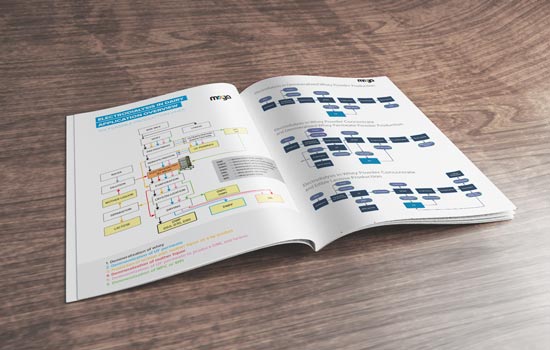 MEGA Electrodialysis Application Overview