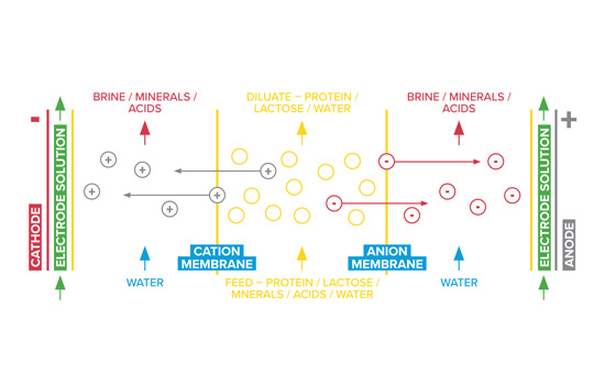 The scheme of electrodialysis process in dairy