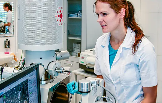 Industrial coating SEM analysis